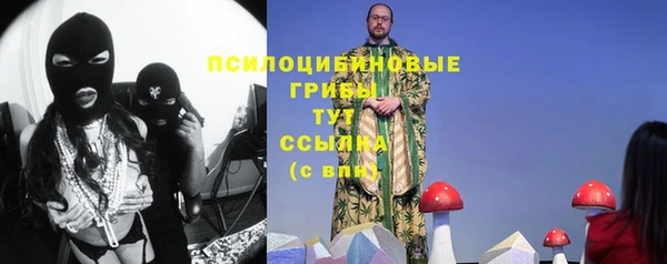 прущий лед Алзамай