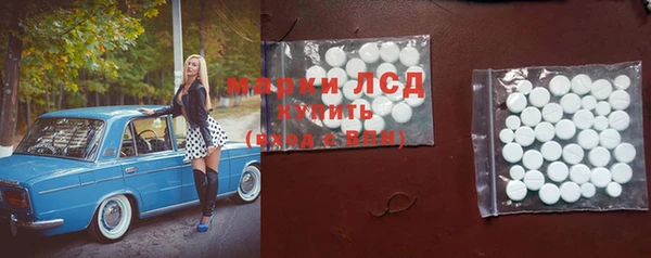 прущий лед Алзамай